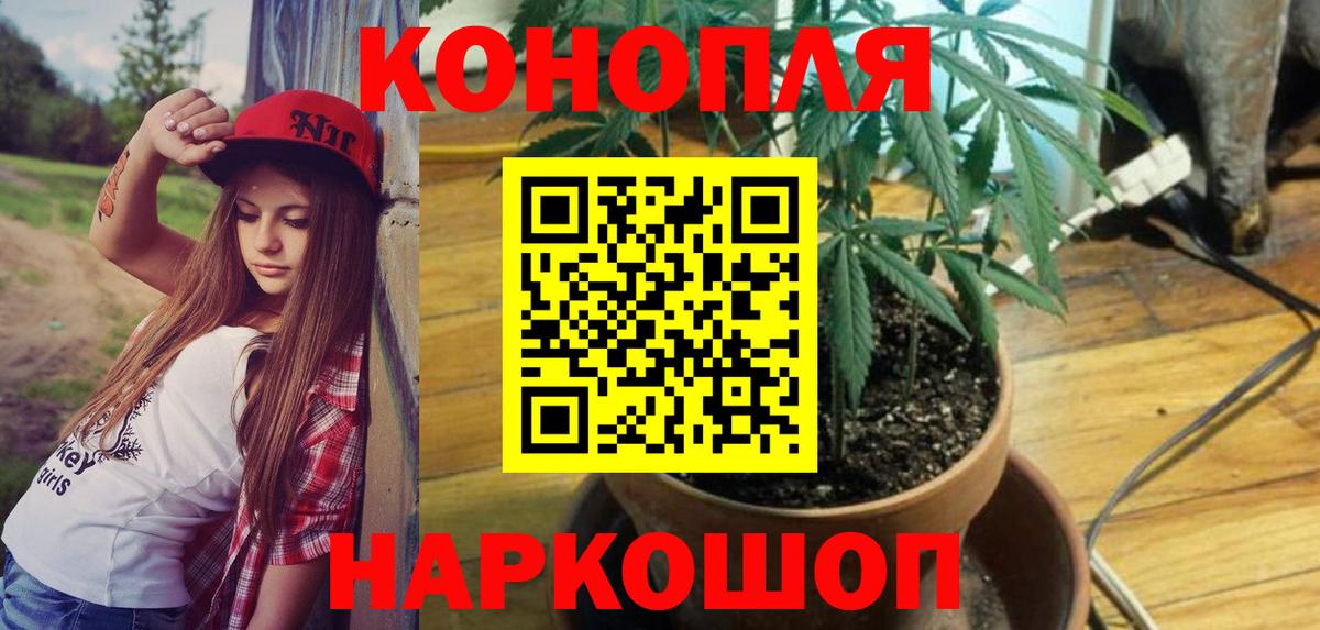 Каннабис SATIVA & INDICA  Конопля марихуана  Улан-Удэ  Канабис план  Вход с VPN 